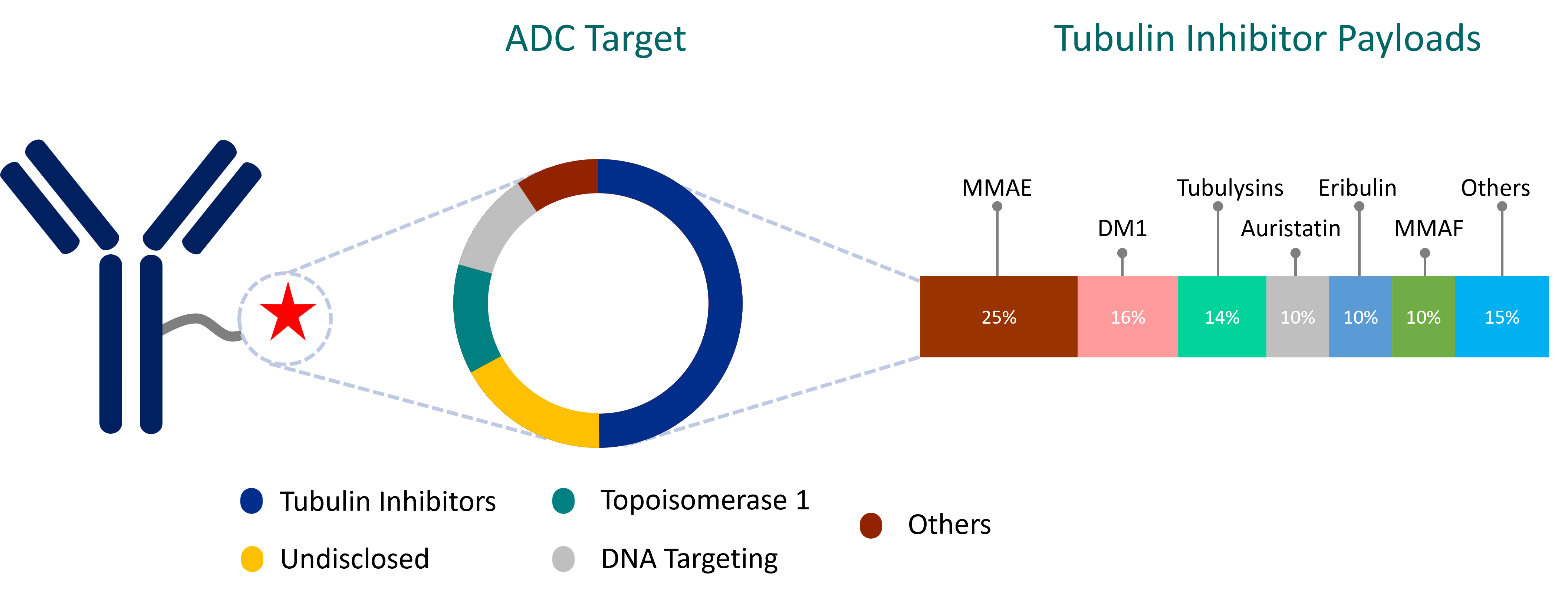 Ajitha Prodrug Research Focus